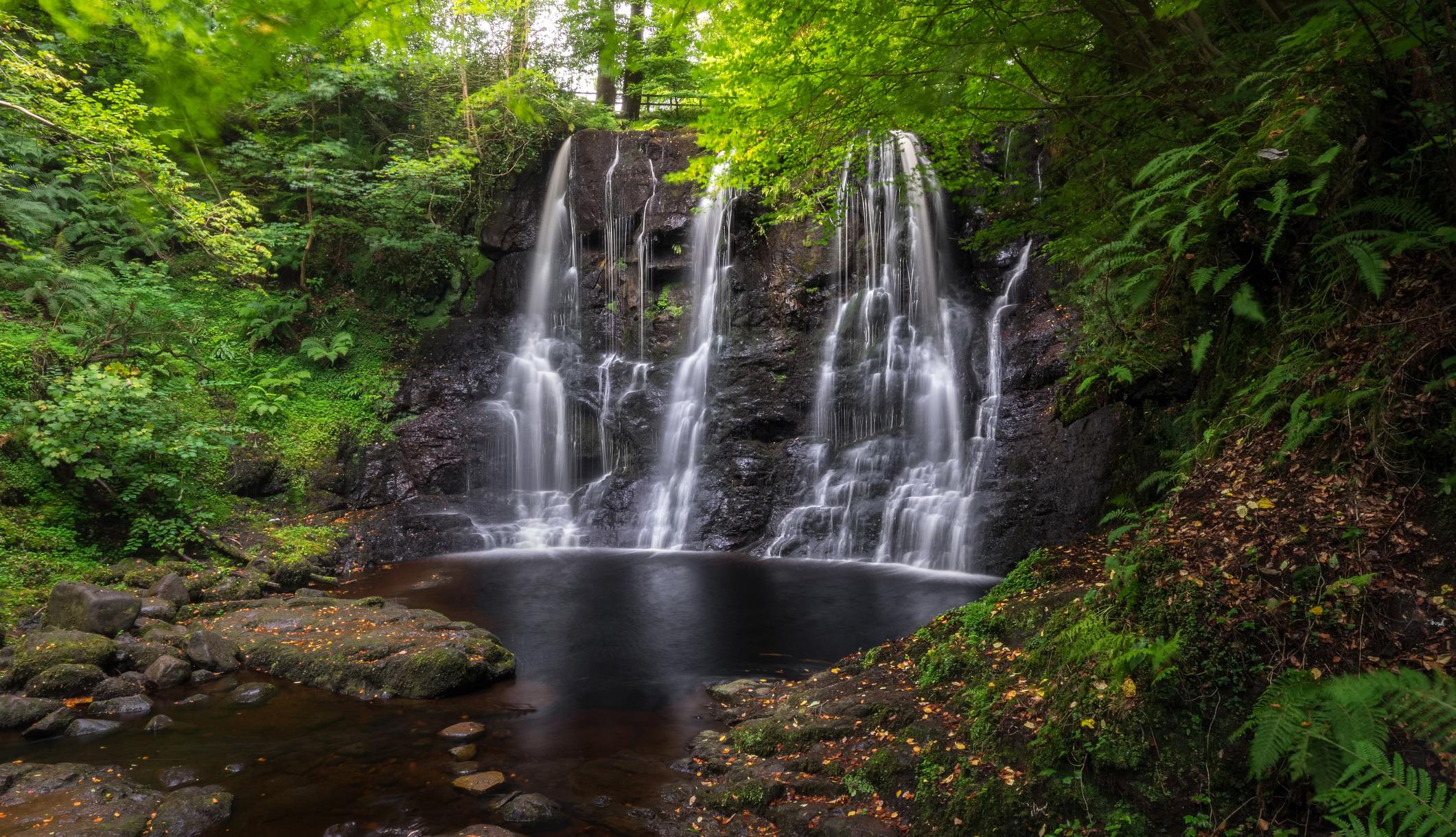 The Moyle Way